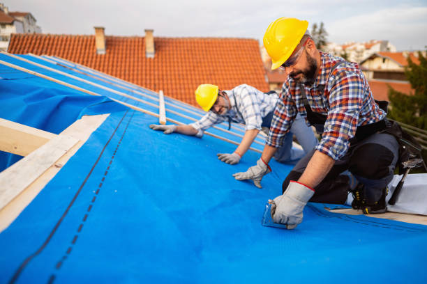 Best Storm Damage Roof Repair  in Colona, IL